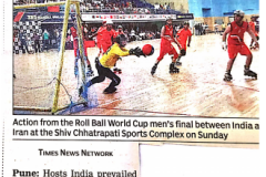 Rollball-WC-2015-Times-Of-India-News